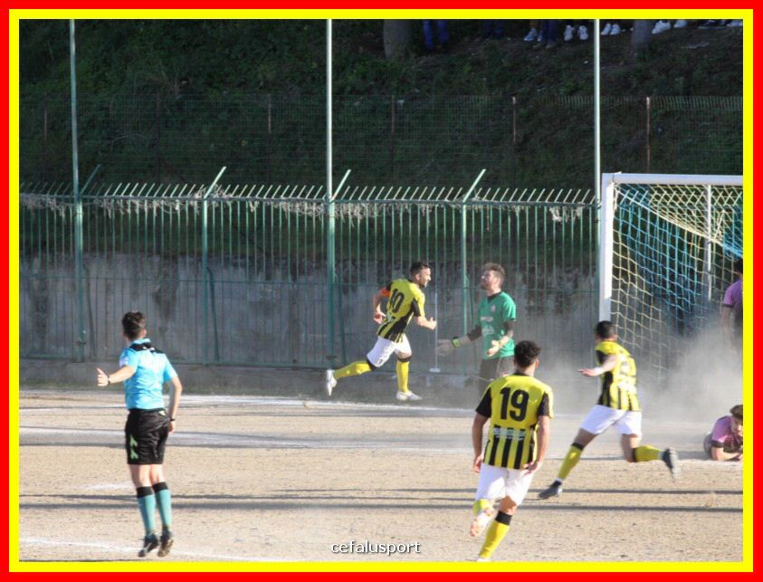190310 Cephal_Torrenov 183_tn.jpg